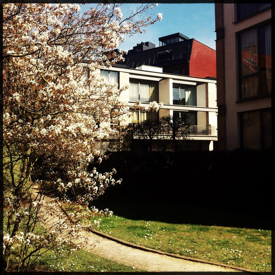 Photographe, architecture, décoration